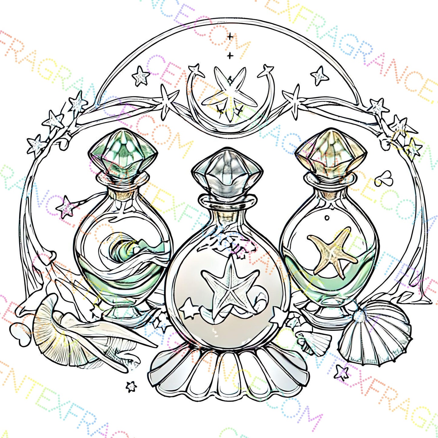 CFCS 01045112 Fragrance Clipart Sand and Shell Sketch Version