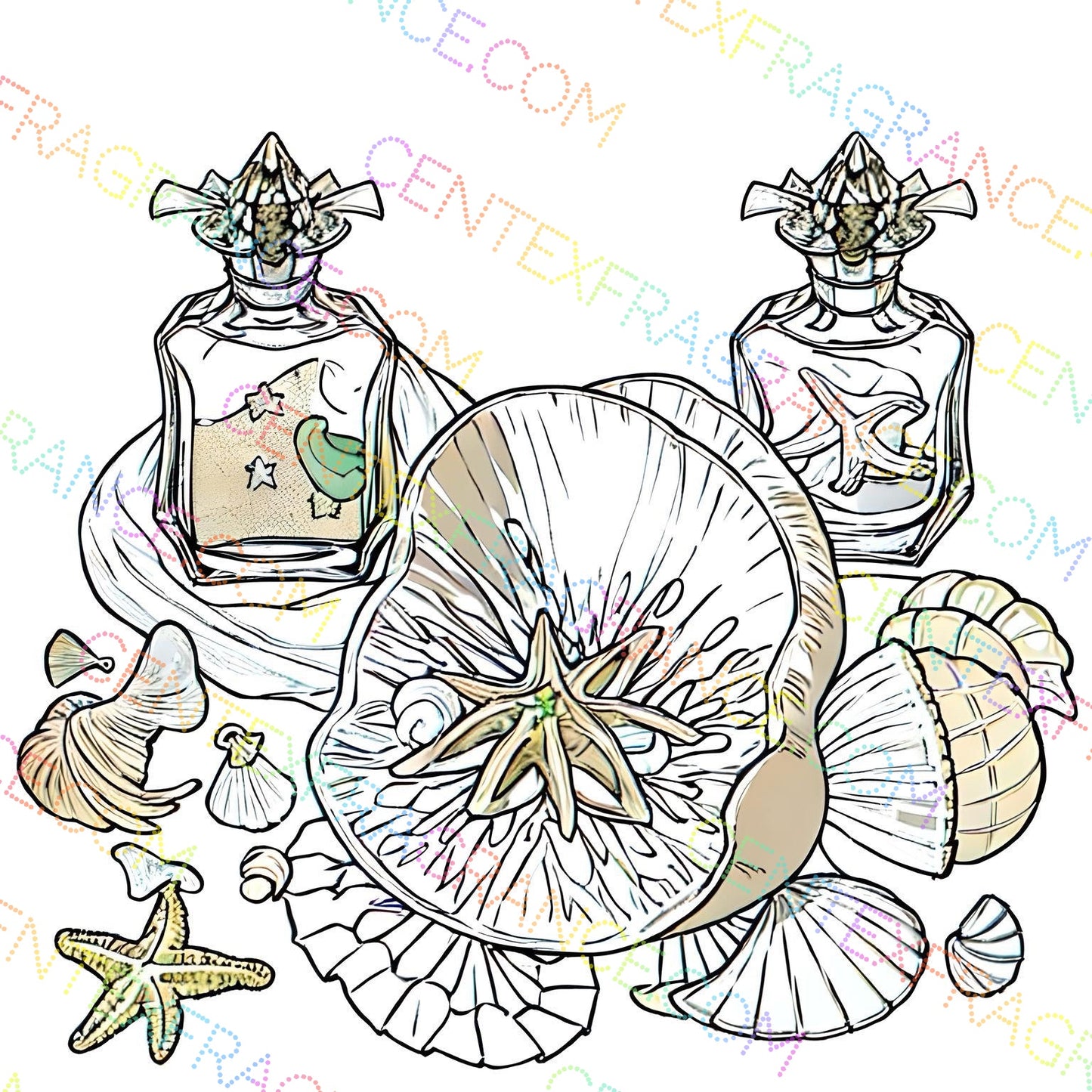 CFCS 01045112 Fragrance Clipart Sand and Shell Sketch Version
