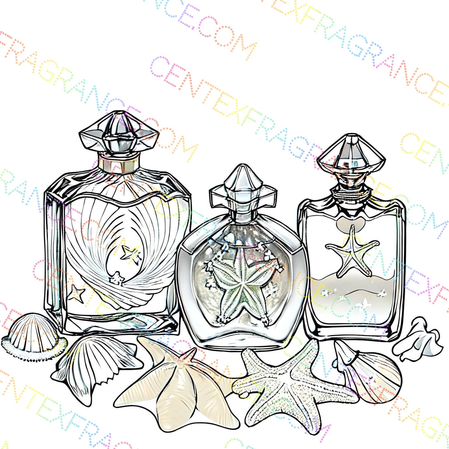 CFCS 01045112 Fragrance Clipart Sand and Shell Sketch Version