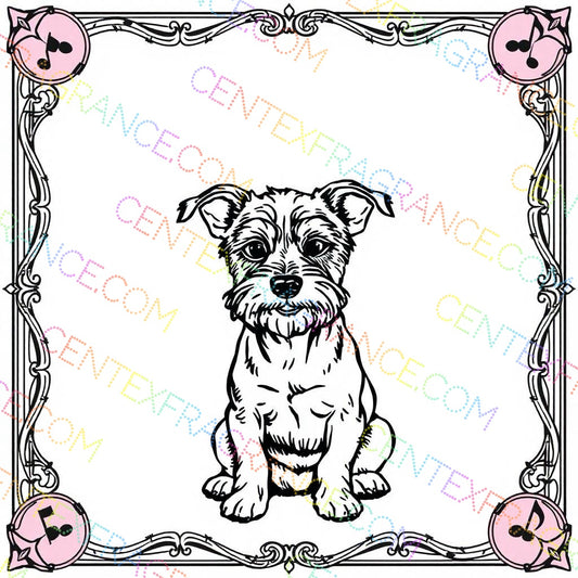 CFCS 01010112 Color Sheet images Mixed lot puppies and piano